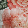 Image #13